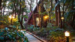 The Mouses House Rainforest Retreat