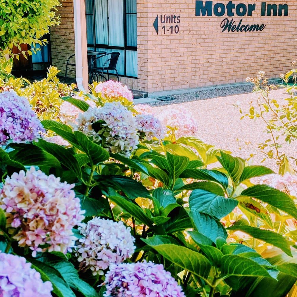 Muswellbrook Motor Inn