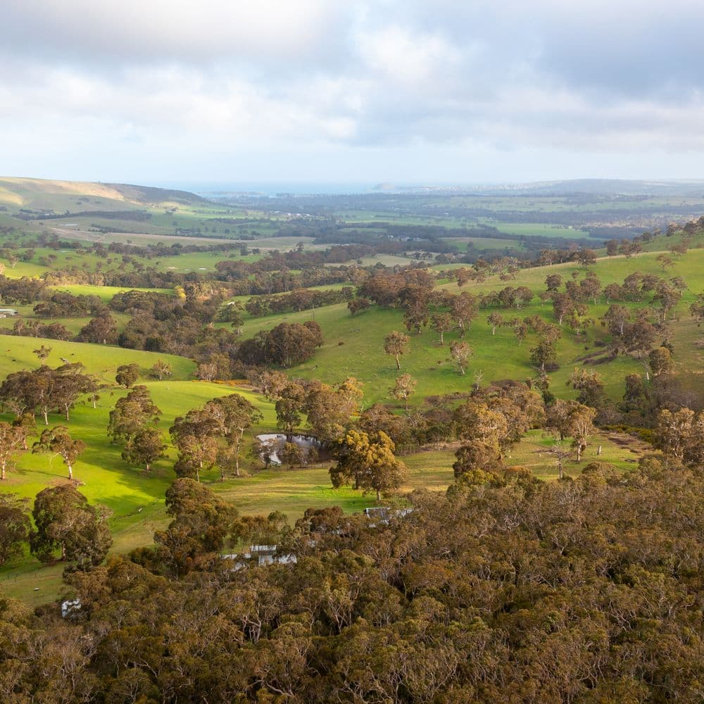 Aerial of property