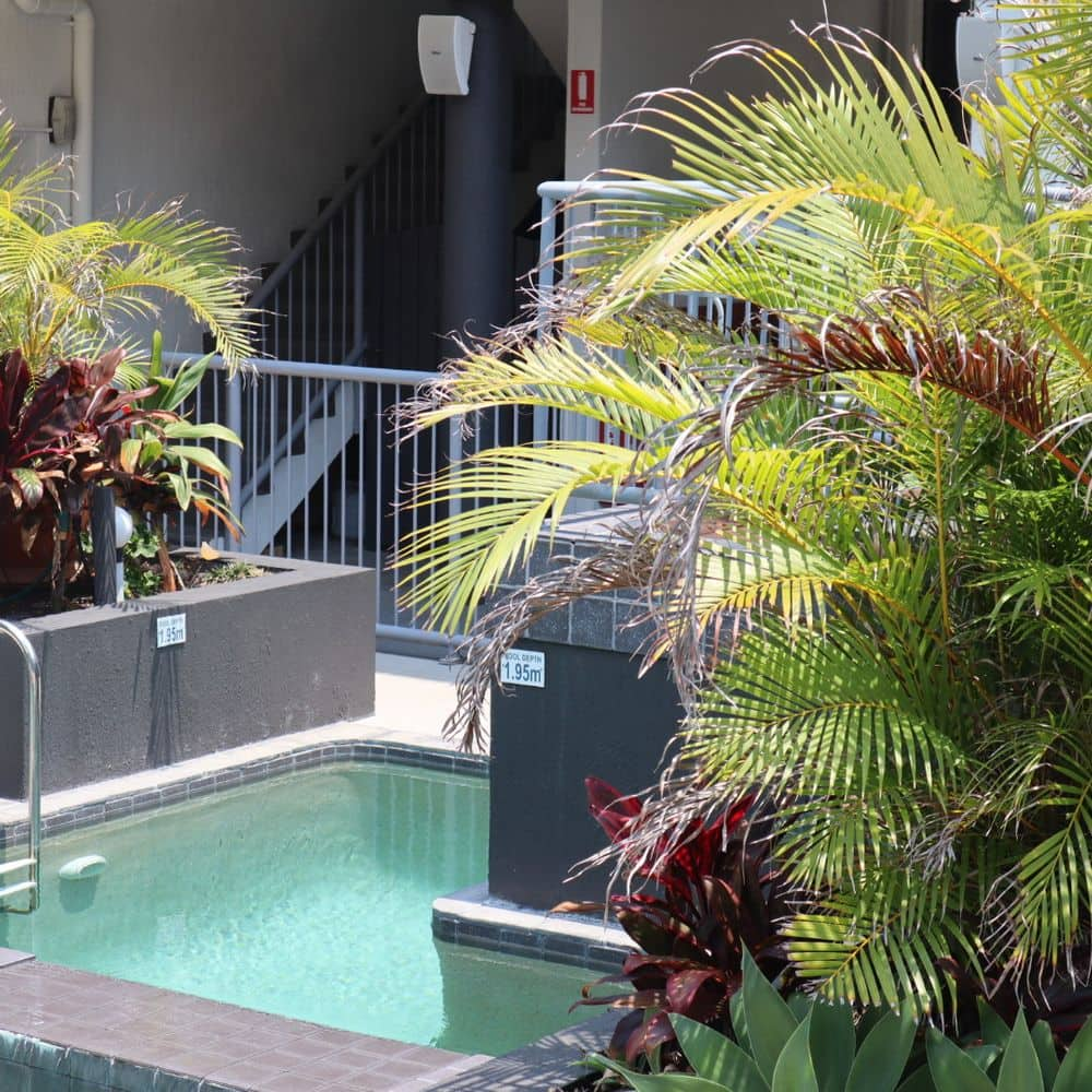 Plunge Pool & Gardens