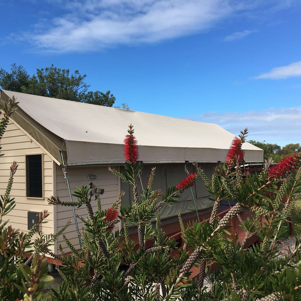 Safari cabin