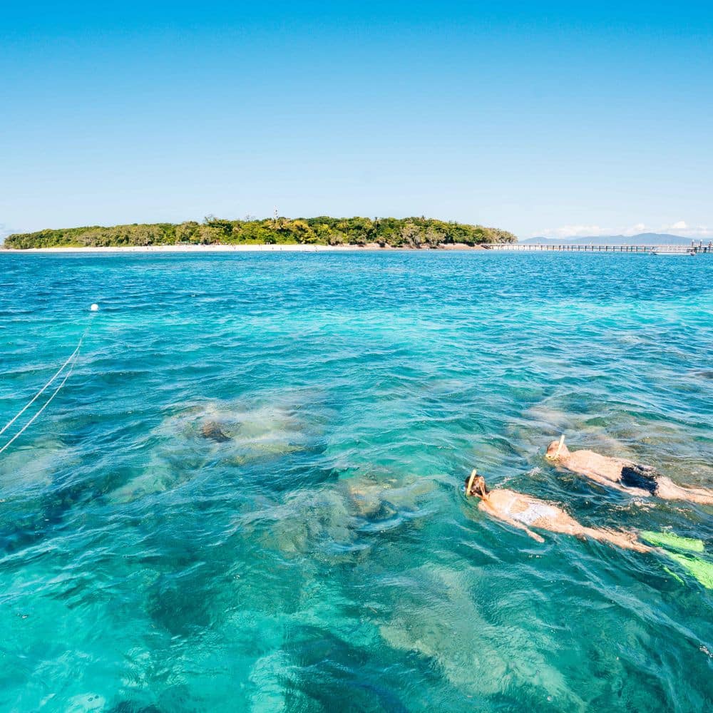 Green Island snorkellers