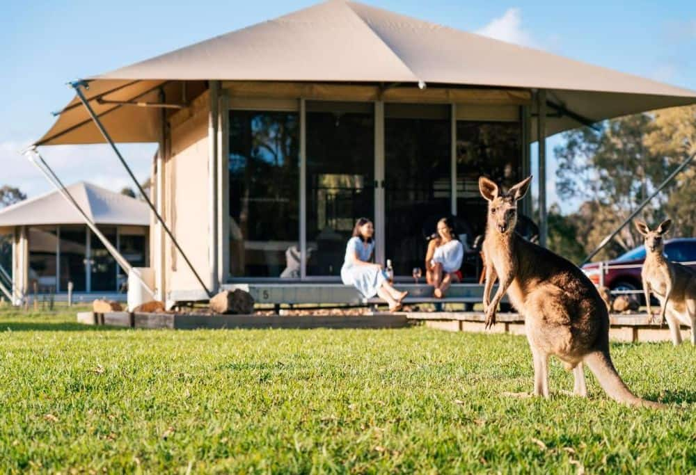 Paperbark Glamping Tents