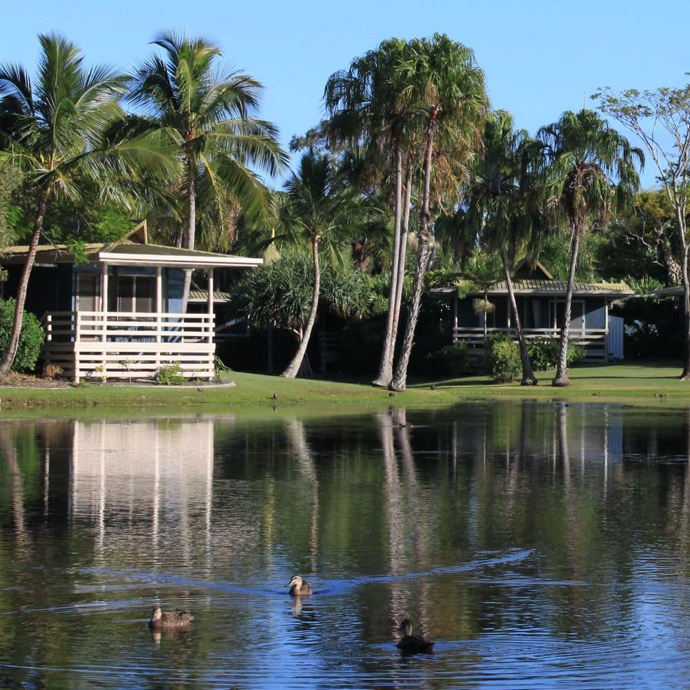 Overlooking our lake