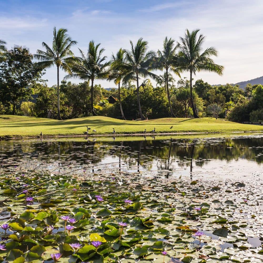 Niramaya Villas and Spa - Resort Grounds