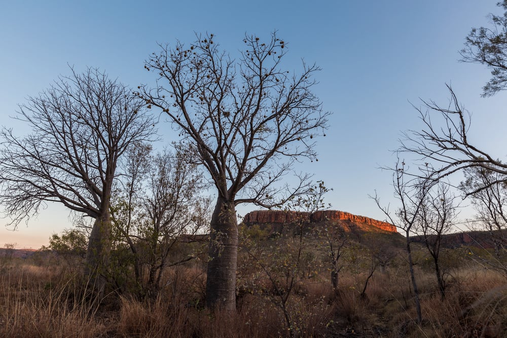 Cockburn Ranges