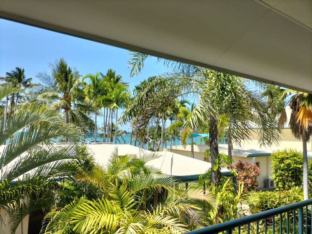 Garden view