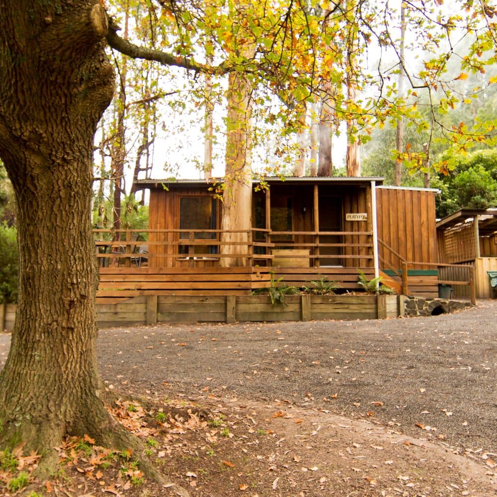 Platypus Cabin