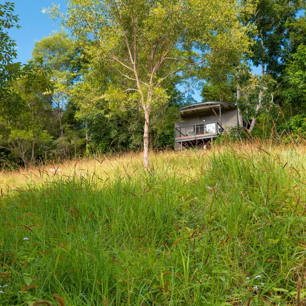 Whispering Valley Cottage Retreat  - Silky Oak