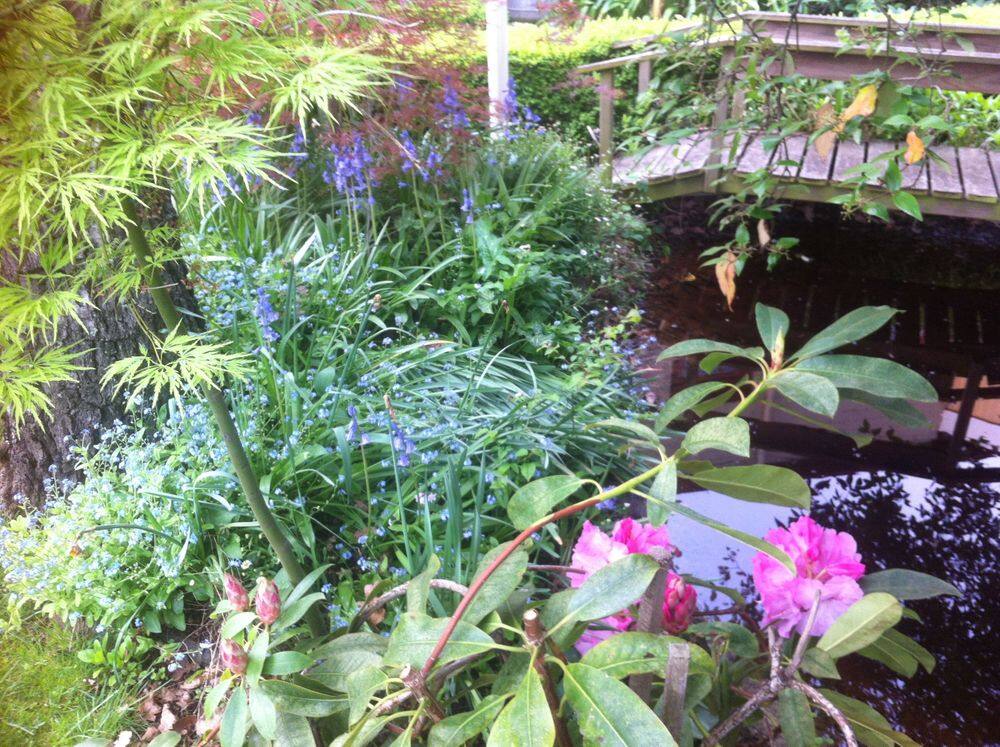 Garden detail