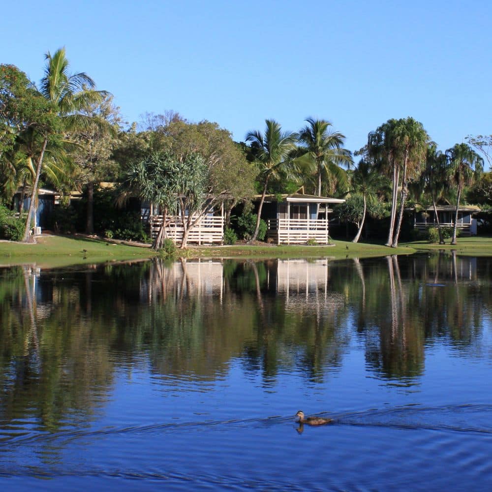 Overlooking our lake