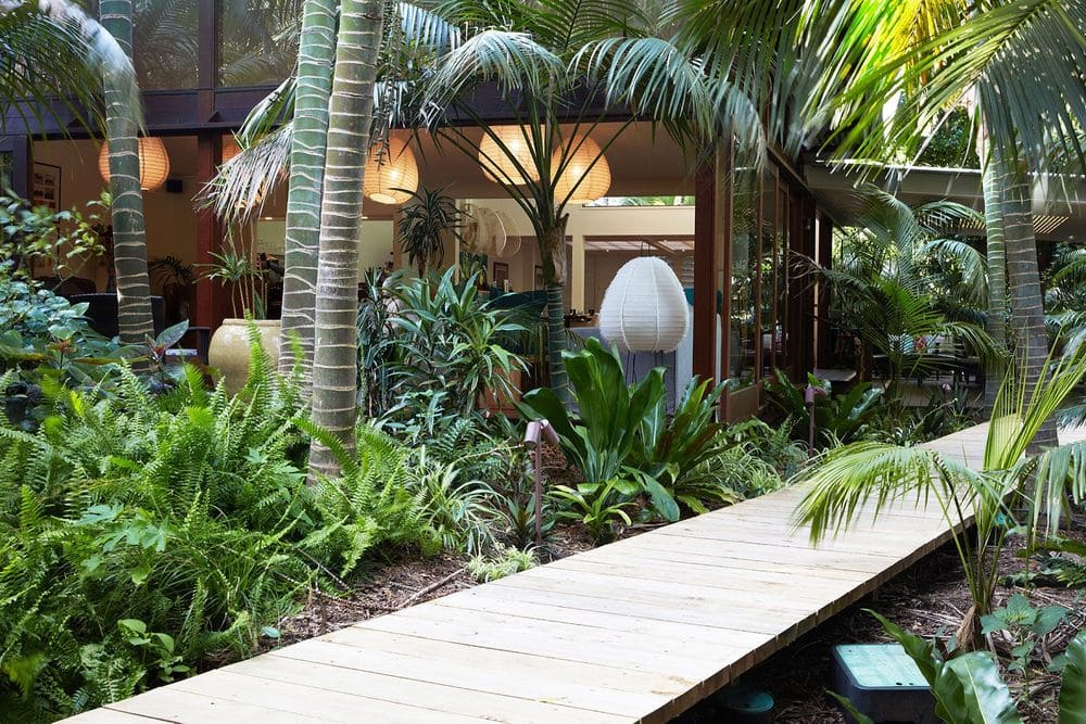 Walk Way 