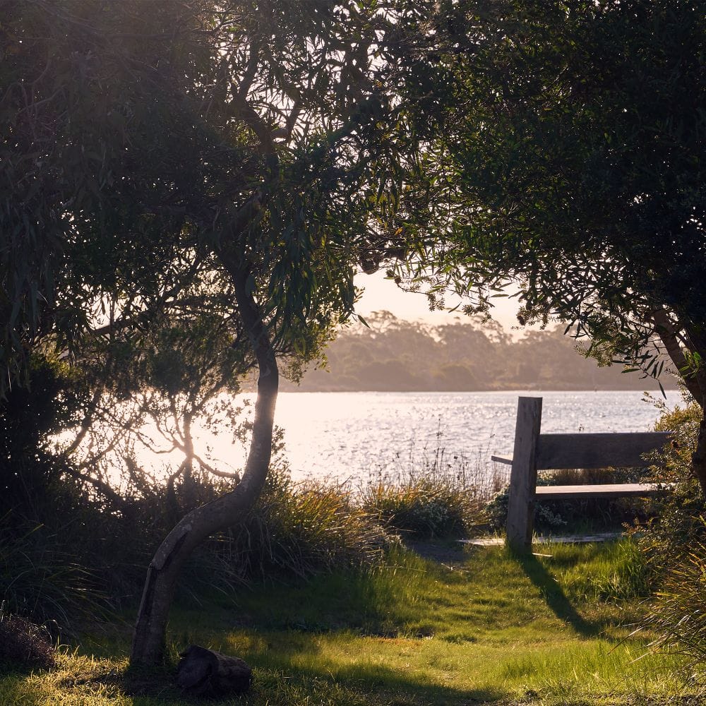 Private bench overlooking Pelican Bay