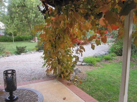 Verandah at Amy's Cottage 1