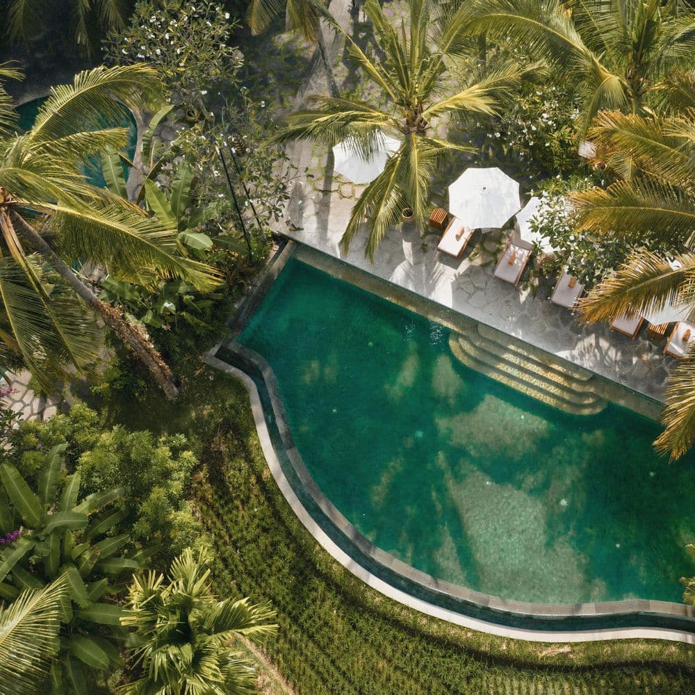 Alaya Resort Ubud - Aerial