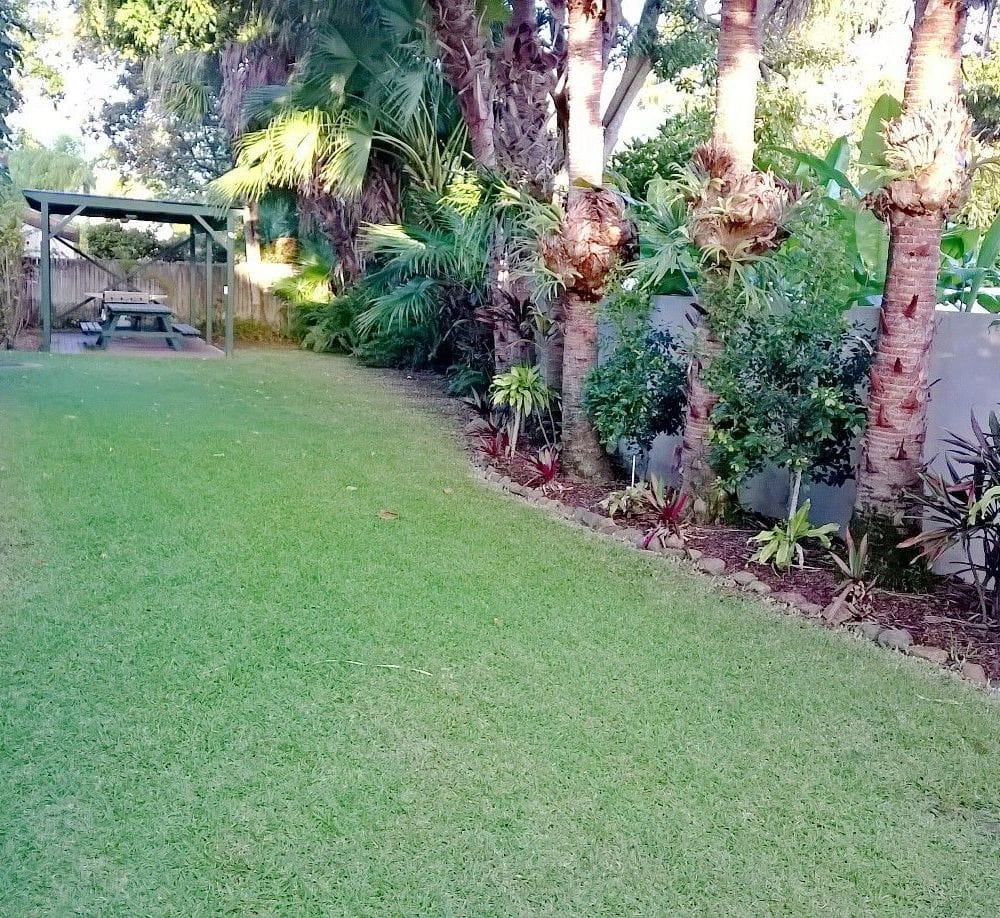 Back Garden