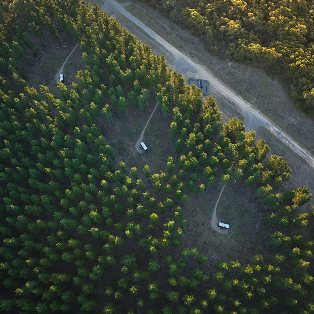 CABN Kuitpo Forest