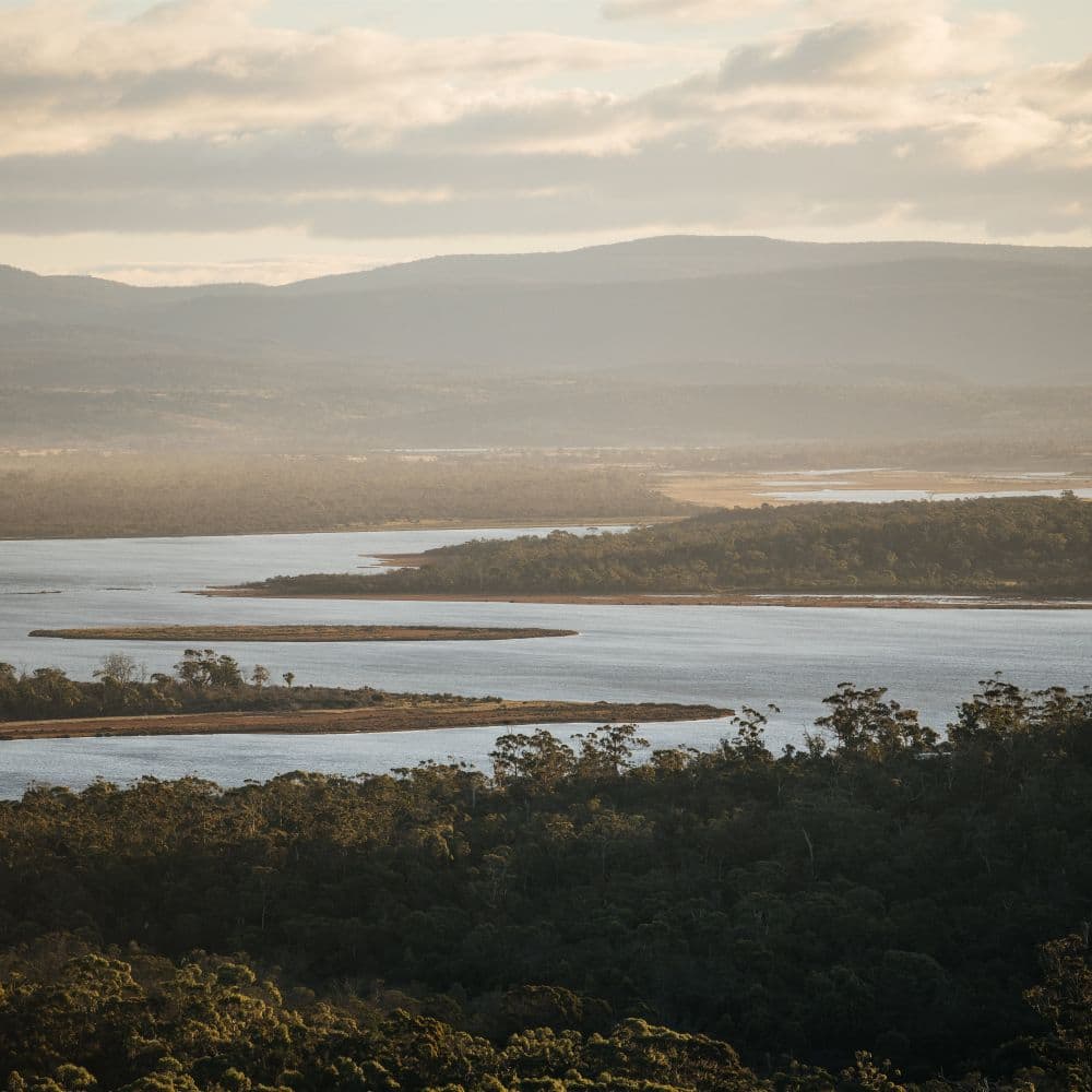 Lookout - View 