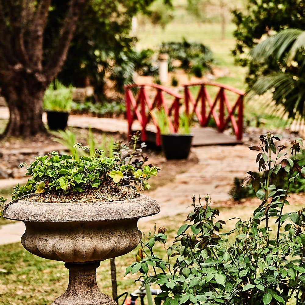 Garden path