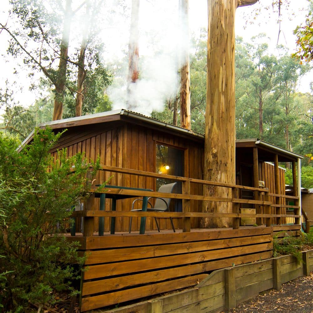 Platypus Cabin