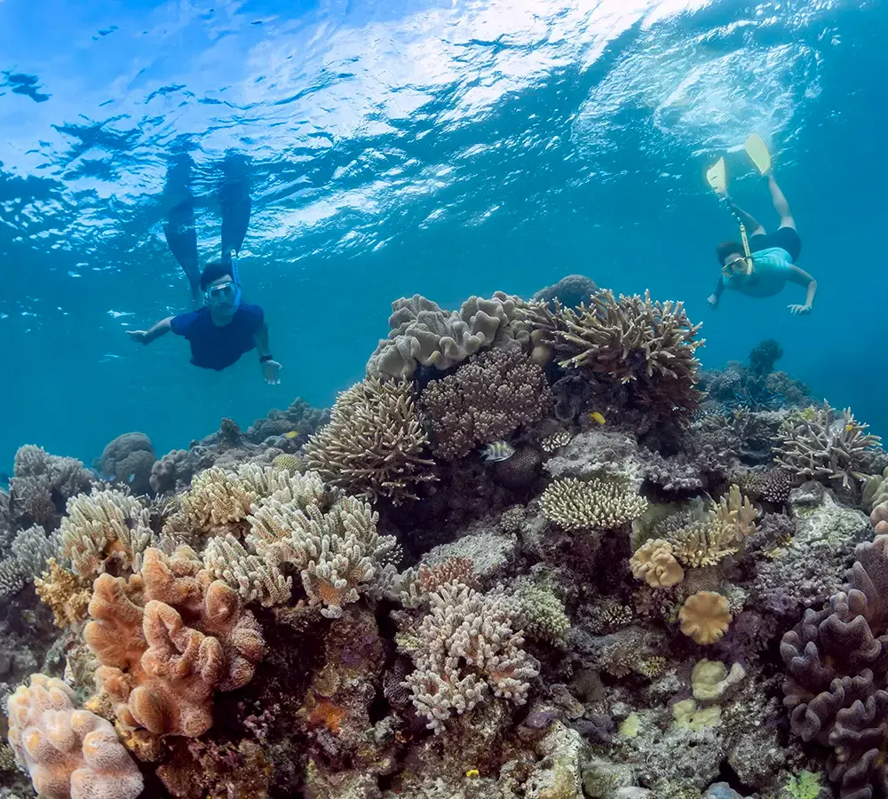 Moore Reef Tour