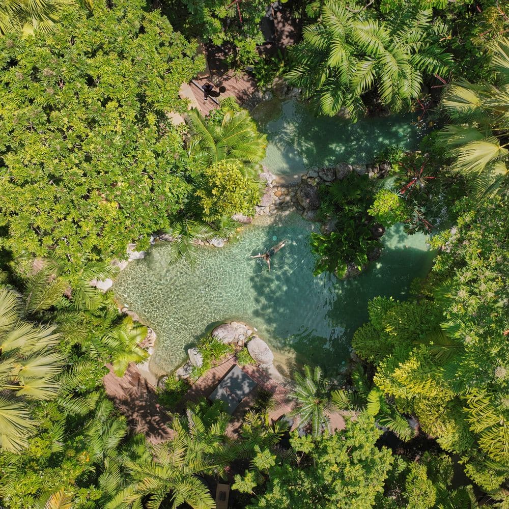 Silky Oaks Lodge - Pool