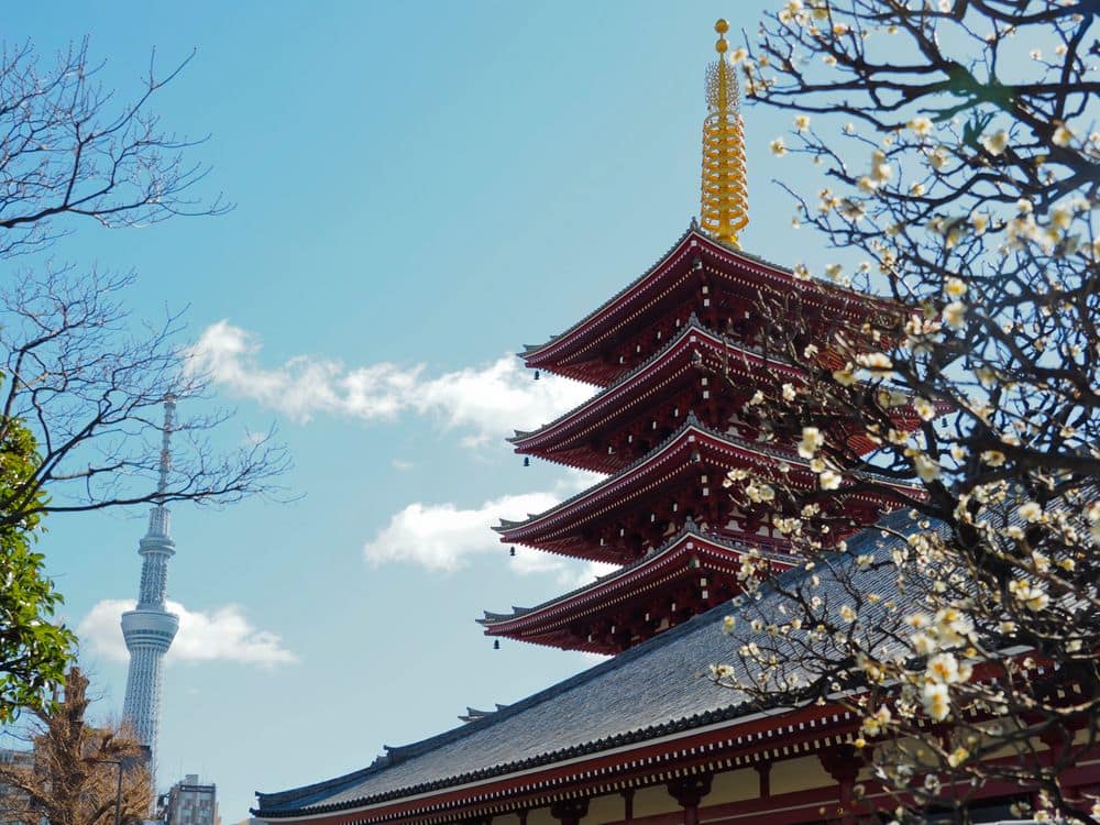 Asakusa - Sensoji temple & Tokyo Skytree