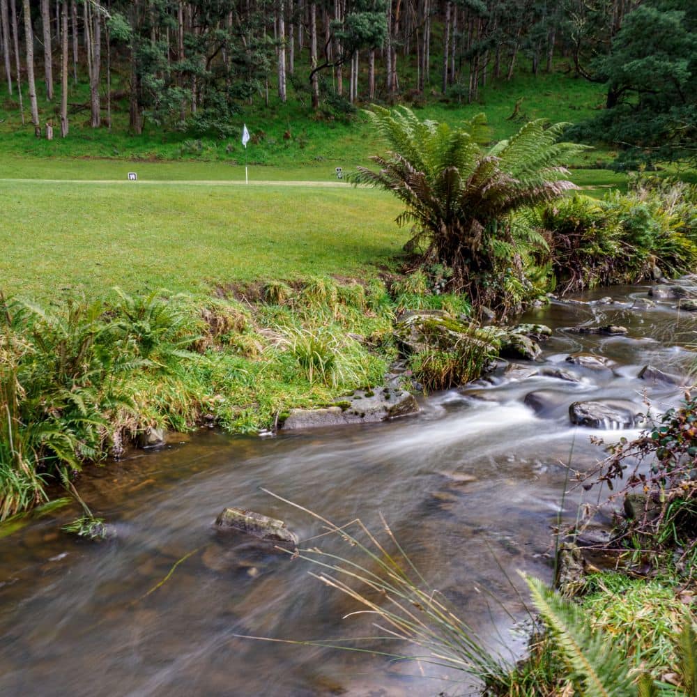 The natural water hazard