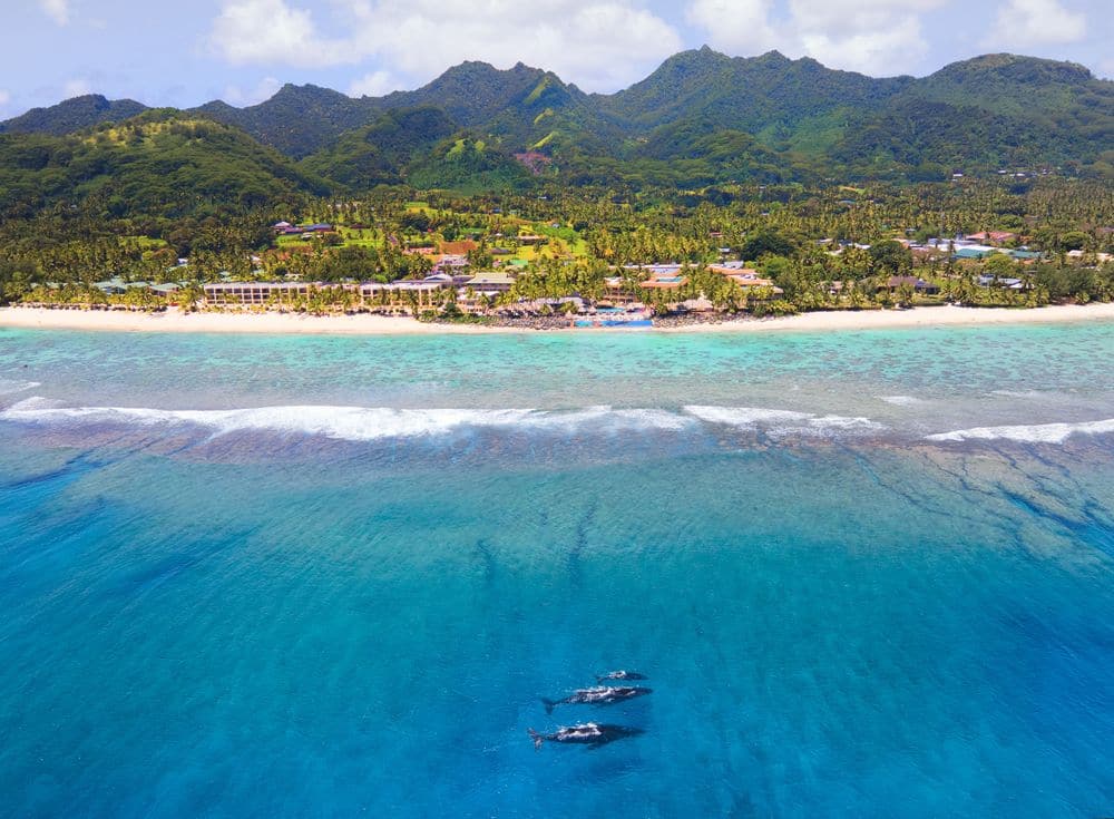 Aerial shot of the Resort during Whale Season. 
