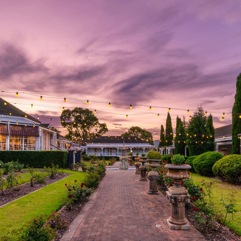 Rose Garden at Sunset