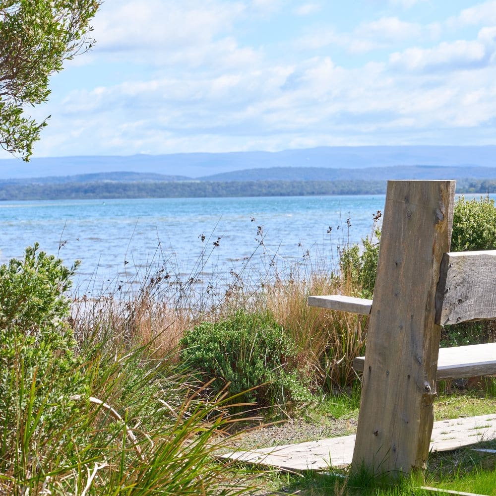 Private bench on the bank of the River