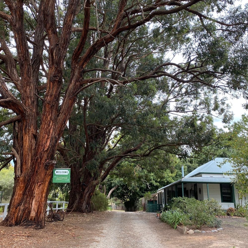 Fernleigh Accommodation