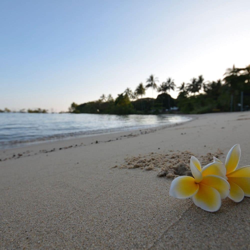 some of the may beautiful spots in Port Douglas