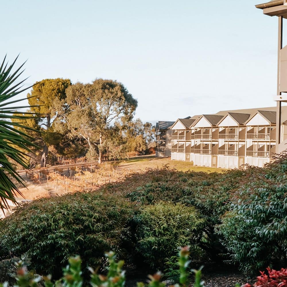 Novotel Barossa Valley Resort - Hotel & Garden