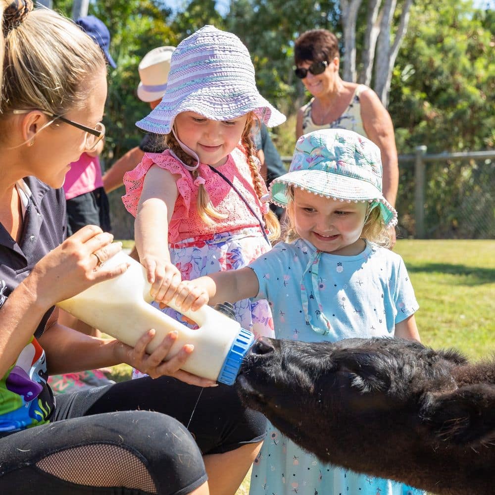 Animal Park Feeding Sessions