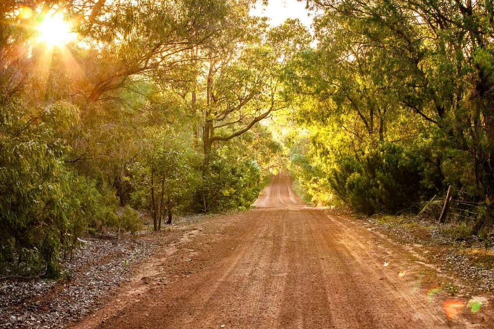 Caves Road Chalets Margaret River Jetstar Hotels Australia