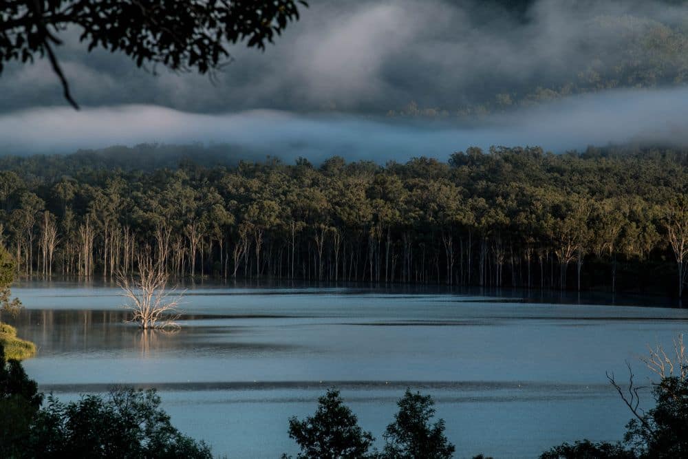 Lake Wyaralong