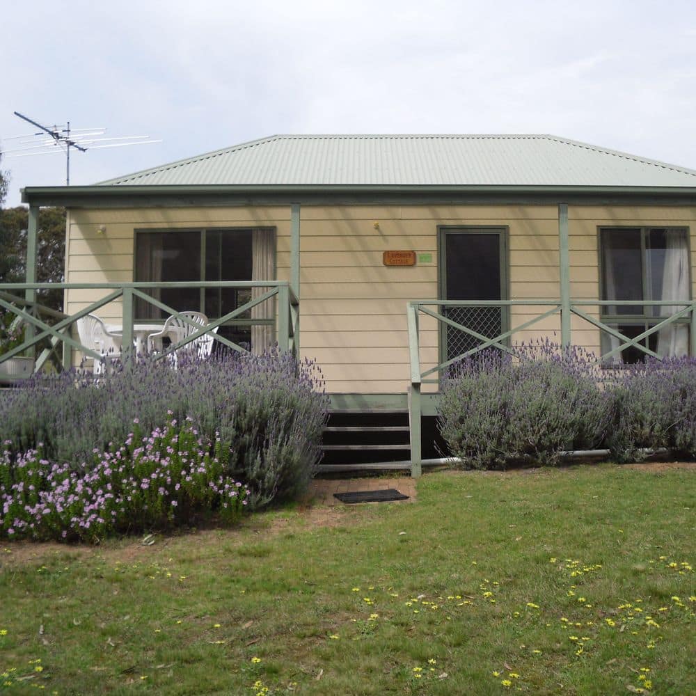 Lavender cottage