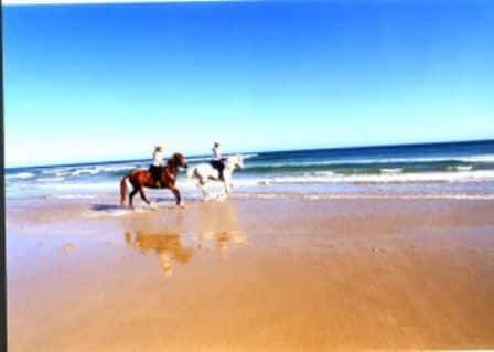 Enjoy a horse ride along Stockton Beach