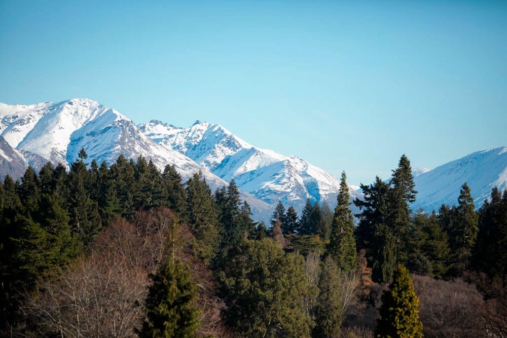 Copthorne Hotel and Resort Queenstown Lakefront - View from Property