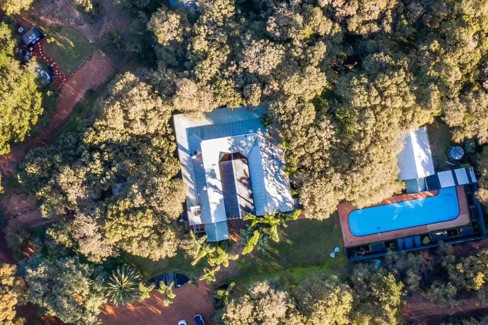 Bird view