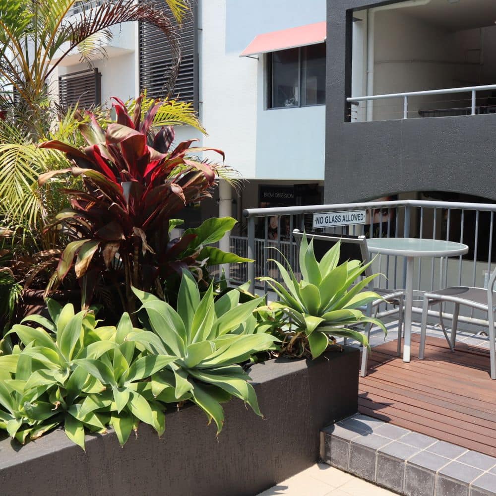 Seating Area & Gardens