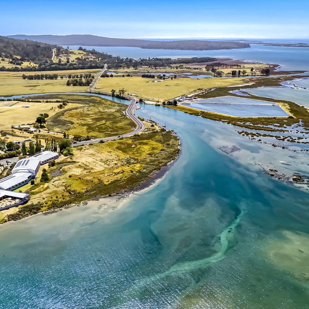 Property Aerial View