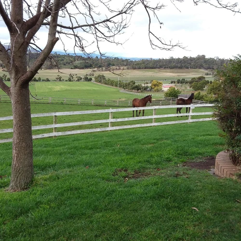 View from guest veranda