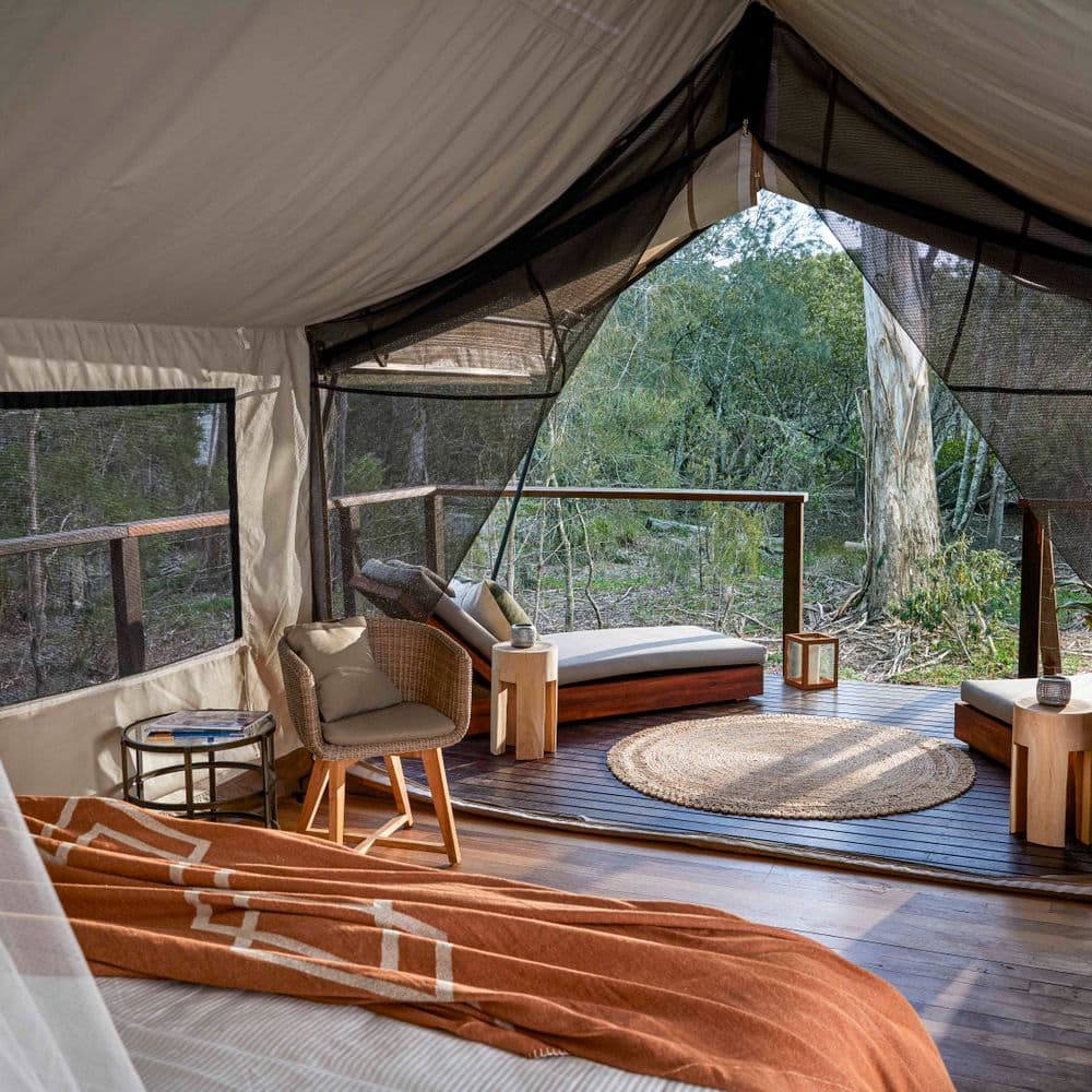 Deluxe safari tent interior 