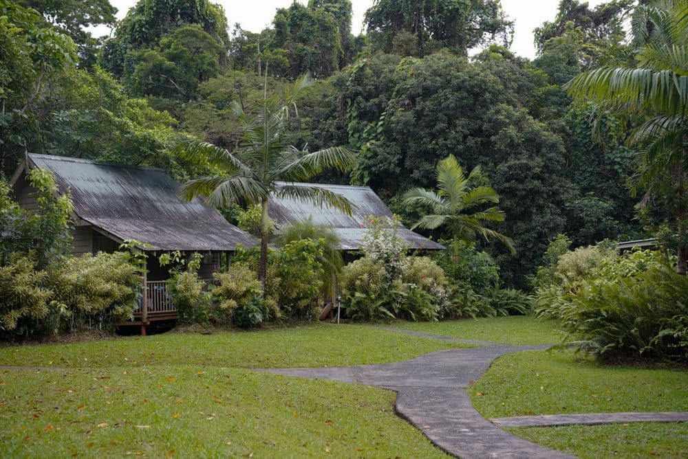 Gardens 