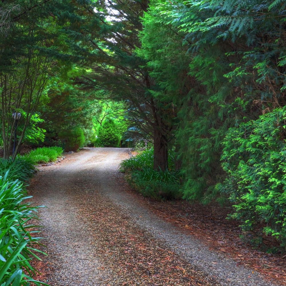 Entrance driveway