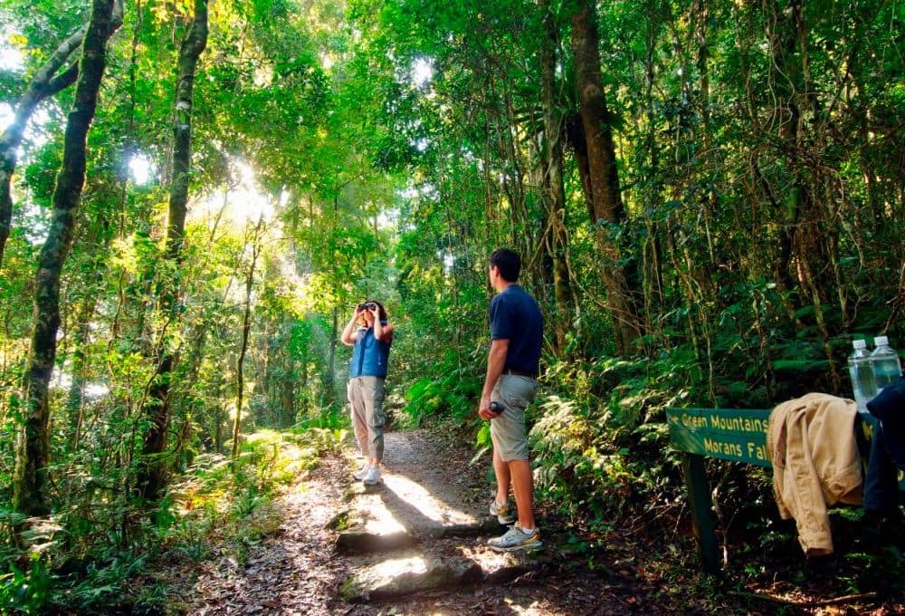 Bush walking 