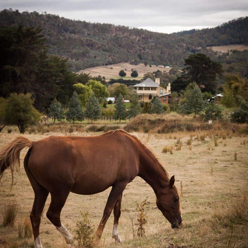 Country environment