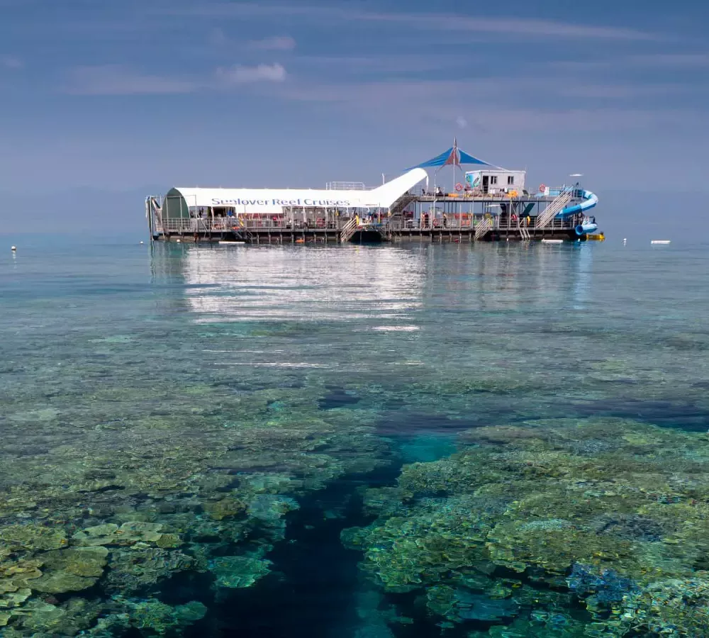 Moore Reef Pontoon